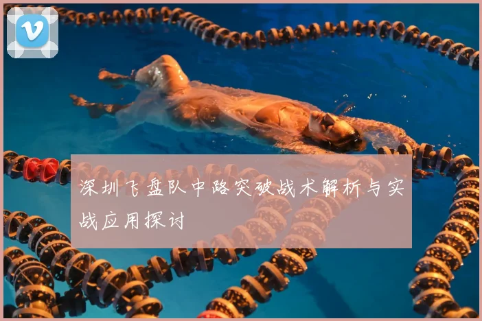 深圳飞盘队中路突破战术解析与实战应用探讨