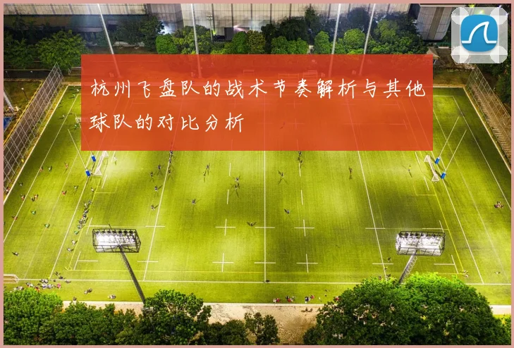 杭州飞盘队的战术节奏解析与其他球队的对比分析