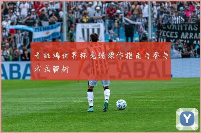手机端世界杯竞猜操作指南与参与方式解析