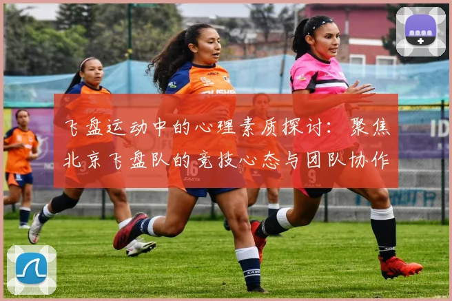 飞盘运动中的心理素质探讨：聚焦北京飞盘队的竞技心态与团队协作