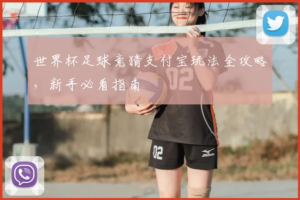 世界杯足球竞猜支付宝玩法全攻略，新手必看指南