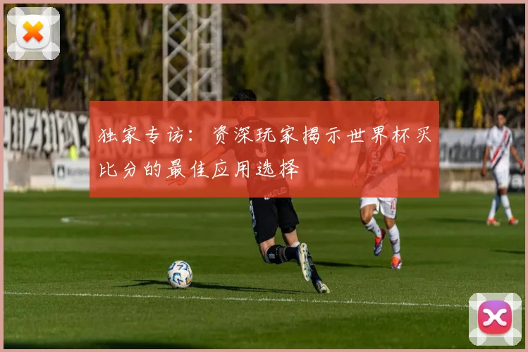 独家专访：资深玩家揭示世界杯买比分的最佳应用选择