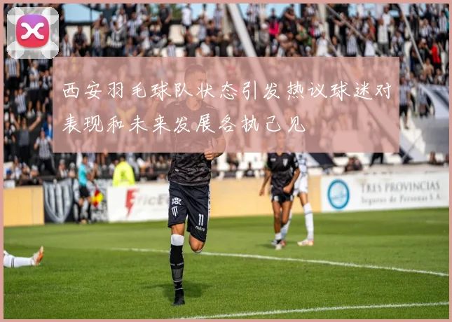 西安羽毛球队状态引发热议球迷对表现和未来发展各执己见