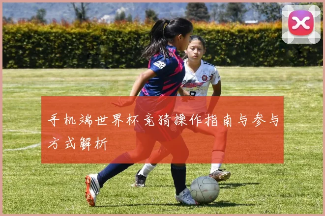 手机端世界杯竞猜操作指南与参与方式解析
